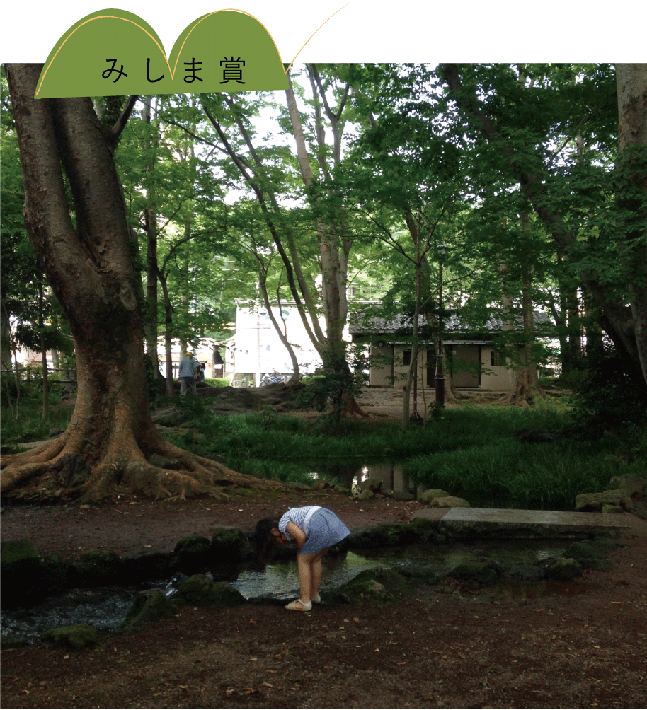 みしま賞 「公園が森！！！」　さとうさん