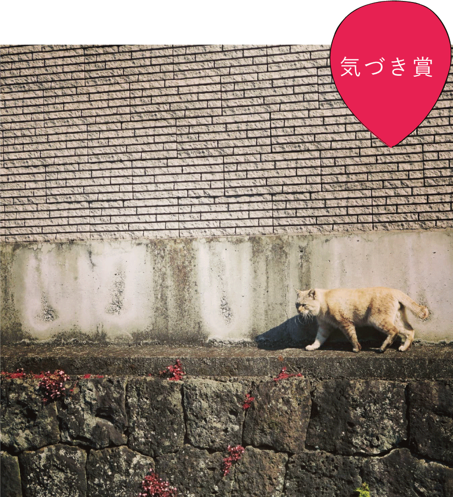 気づき賞 「みしまさんぽ 」　micoさん