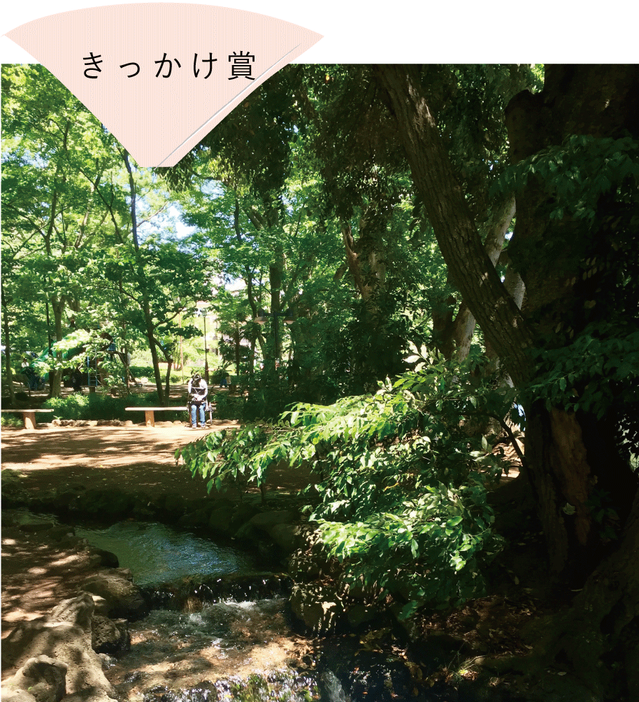 きっかけ賞「白滝公園の白い滝」　じろうさん