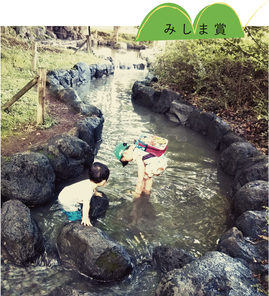 みしま賞「夏の遊び場」　コスタリカさん