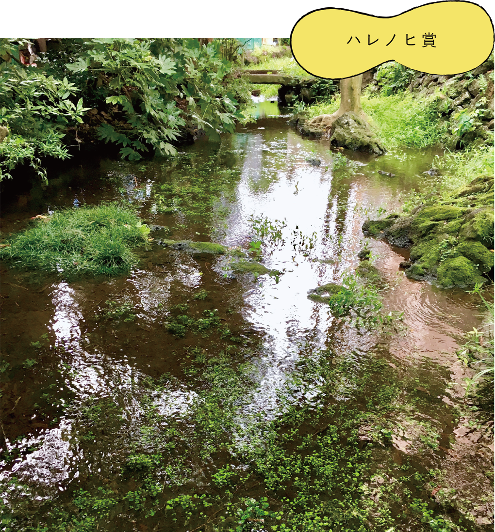 ハレノヒ賞 「静かな秘密のオアシス」