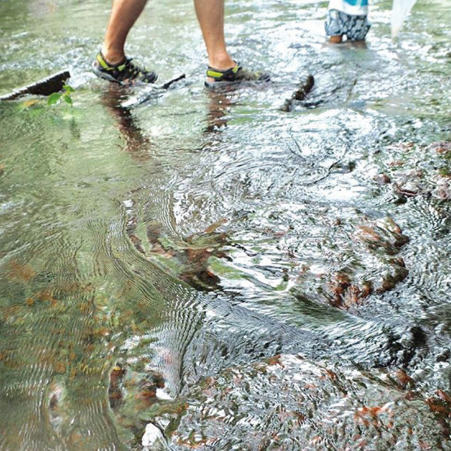 「涼を求めて」