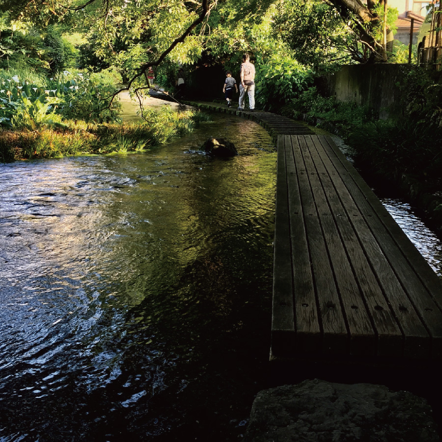 「ぶらり散策」