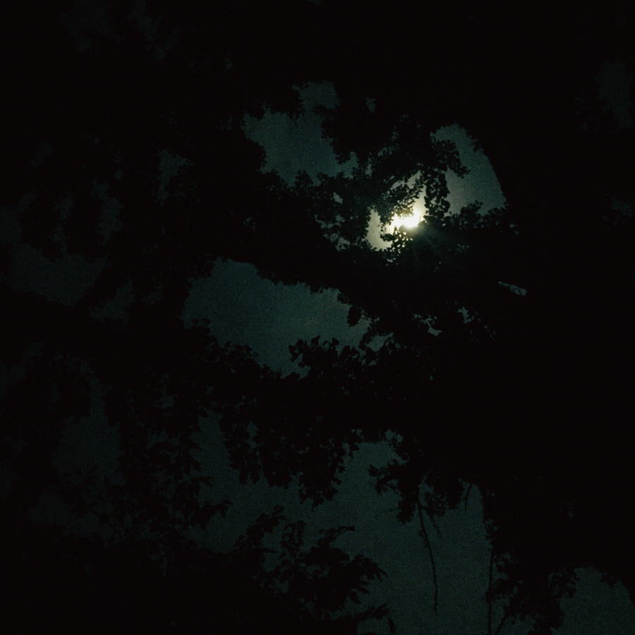 「中秋の名月」