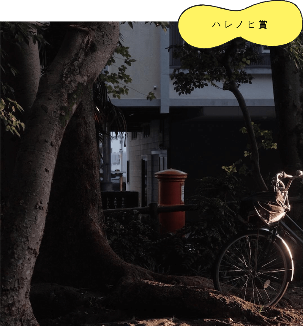 ハレノヒ賞 「Gentle Pace」