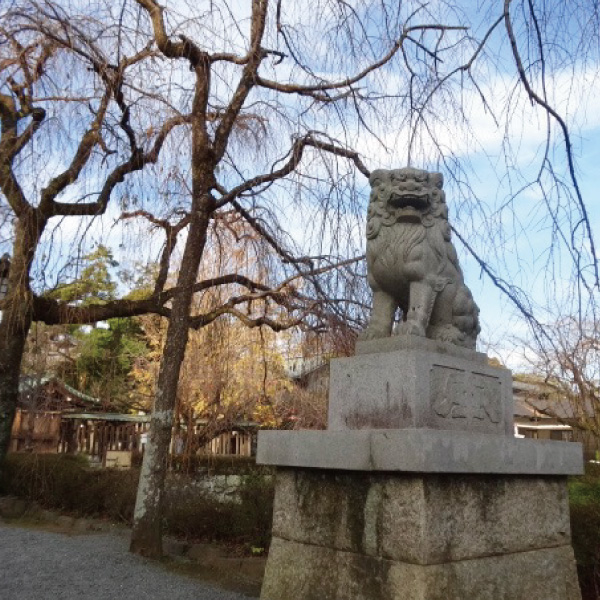 「三嶋大社の狛犬」