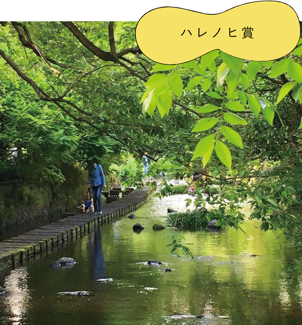 ハレノヒ賞「私たちのパワースポット」