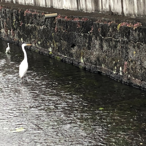 「何をみているの？」