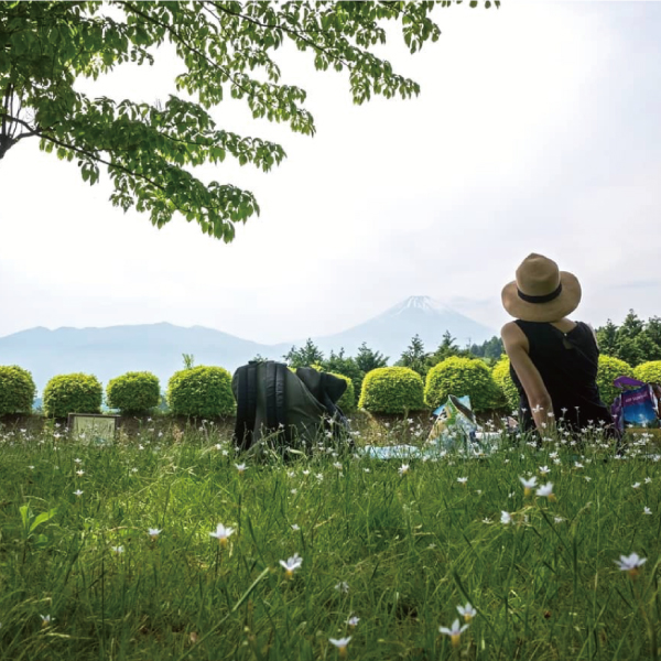 「ピクニック」