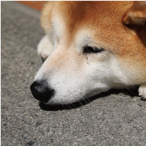 「気持ちいいな」