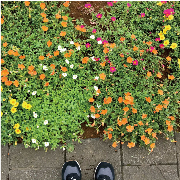 「散歩の途中で」