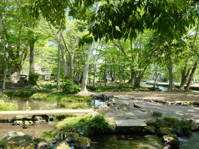 水と緑が豊かな白滝公園。